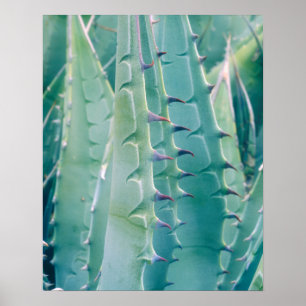Muster einer alten Pflanze Poster