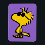 Muster für Coole Sonnenbrillen aus Holz Magnet<br><div class="desc">Schauen Sie sich dieses super niedliche Design an,  mit Woodstock mit cooler Sonnenbrille.</div>