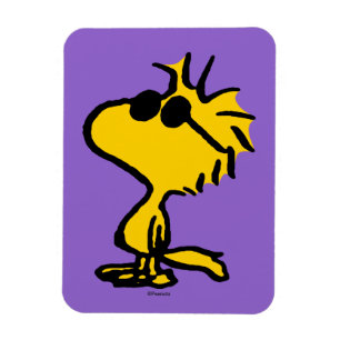 Muster für Coole Sonnenbrillen aus Holz Magnet