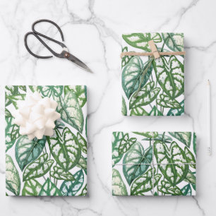 Muster für grüne tropische Blätter