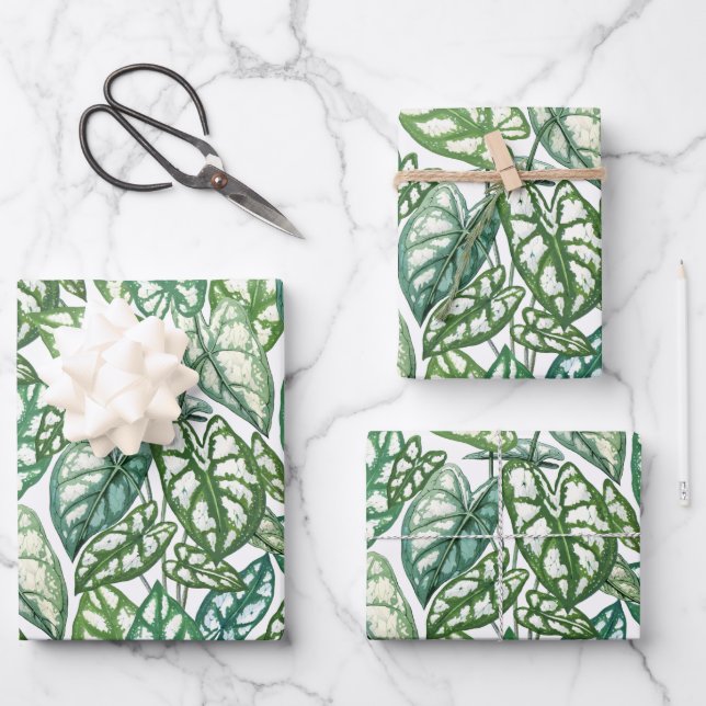 Muster für grüne tropische Blätter (Vorderseite)