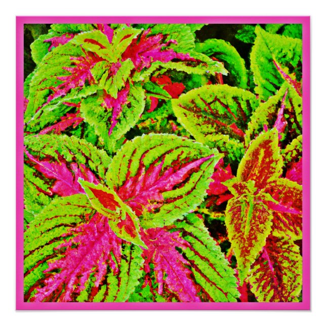 Muster für lebendige Natur-Blätter Poster (Vorderseite)