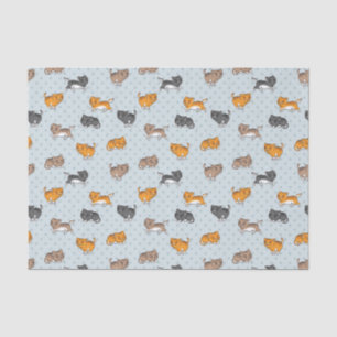 Muster mit lustigen Katzen Seidenpapier