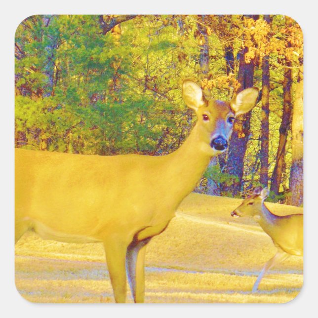 Musturd Colored Deer mit hellblau Quadratischer Aufkleber (Vorderseite)