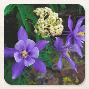 Mutante Akelei-Wildblumen Rechteckiger Pappuntersetzer