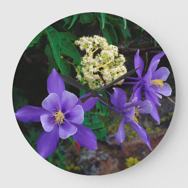 Mutante Columbine-Wildblumen Große Wanduhr (Vorderseite)