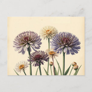 Mute Allium-Blume auf Altpapier Postkarte
