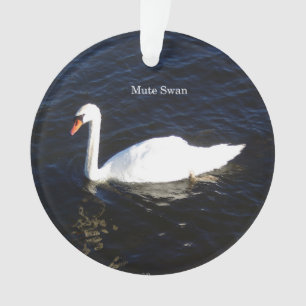 Mute Swan Acrylschmuck Ornament