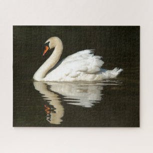 Mute Swan Bird Pond Wildlife Animals Jigsaw Puzzle