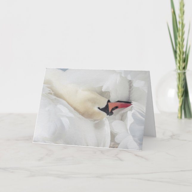 Mute Swan Blank Note Card Karte (Vorderseite)