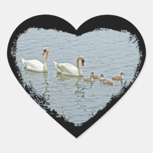 Mute Swan Famly Herz-Aufkleber
