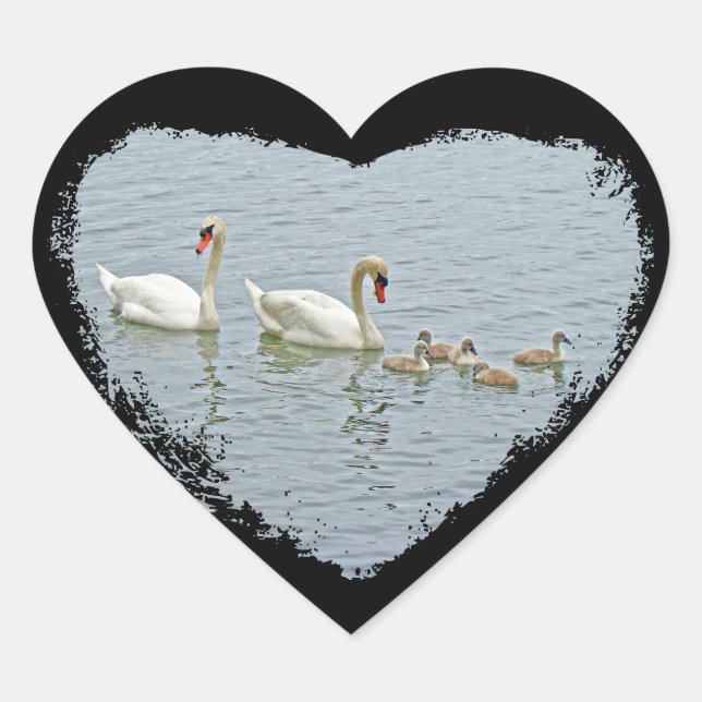 Mute Swan Famly Herz-Aufkleber (Vorderseite)