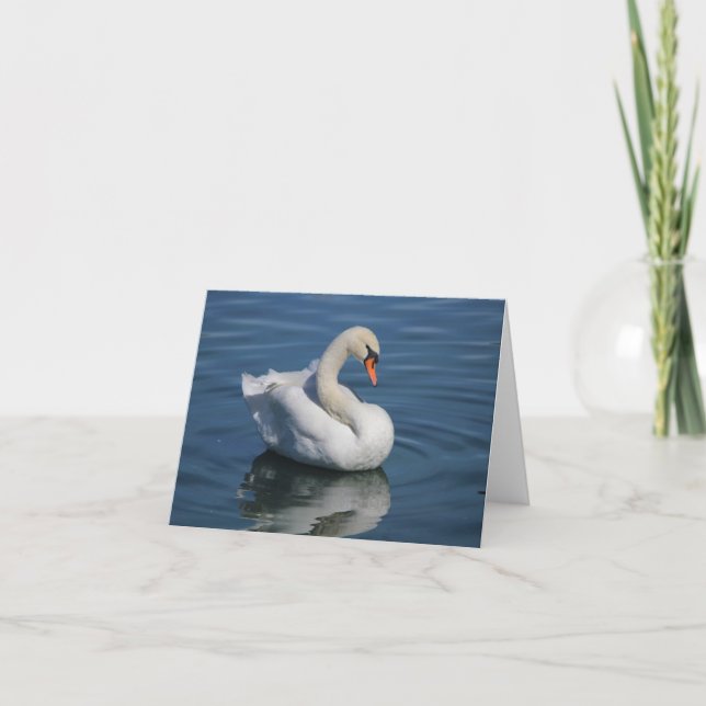 Mute Swan Foto Faltkarte (Vorderseite)