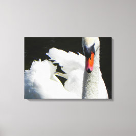 Mute Swan Macro Foto Kunst, Dichtung und Musik Leinwanddruck