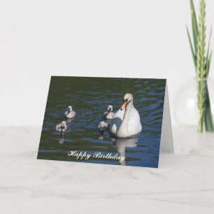 Mute Swan mit Cygnets Birthday Card Karte