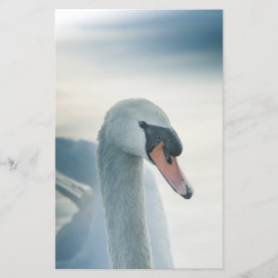 Mute Swan Nature Foto Briefpapier