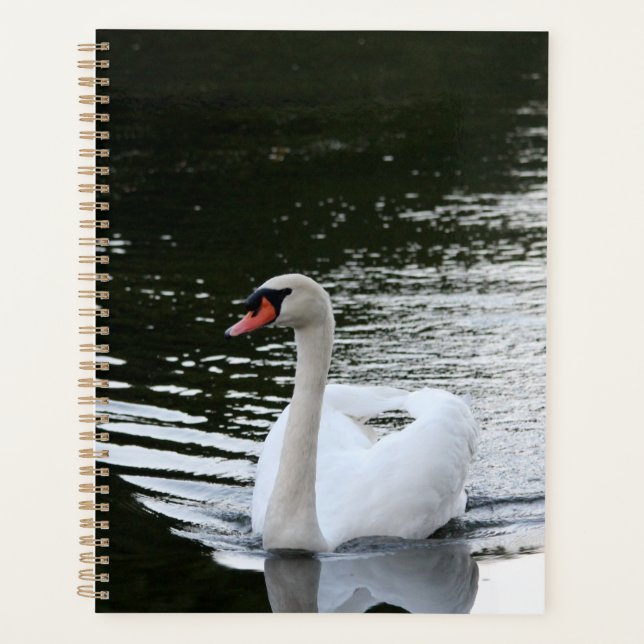 Mute Swan Planer (Vorderseite)