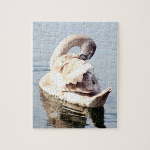 Mute Swan Preening Puzzle