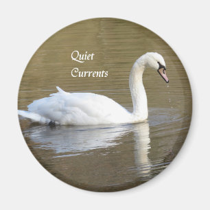 Mute Swan Relaxmagnet Magnet