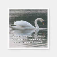 Mute Swan