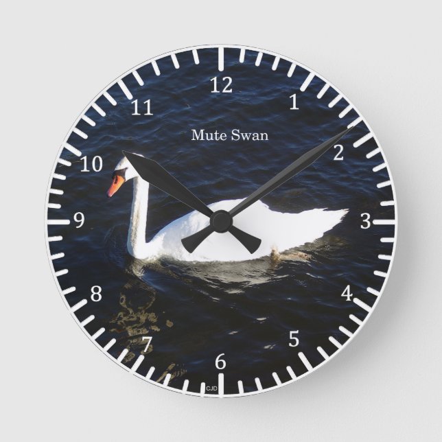 Mute Swan Uhr (Vorderseite)