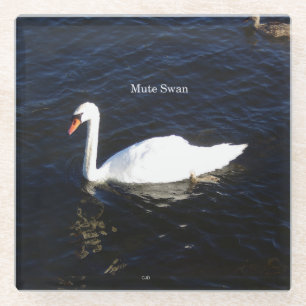 Mute Swan Untersetzer