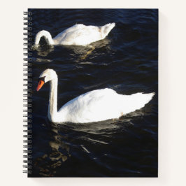 Mute Swans Notebook Notizbuch