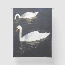 Mute Swans Vorhang