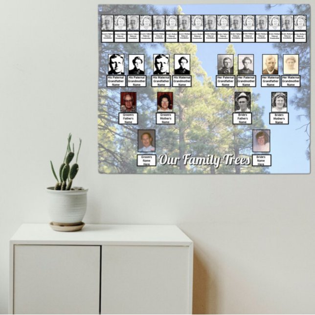 Muted Pine Tree Forest Photo with Two Family Trees Poster (Von Creator hochgeladen)