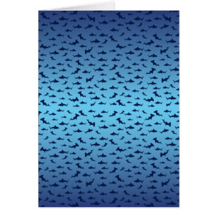Mutilple Hammer Head Sharks