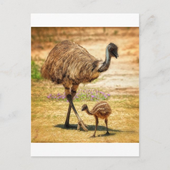 Mutter behielt ein Auge auf ihr Kind Postkarte (Vorderseite)