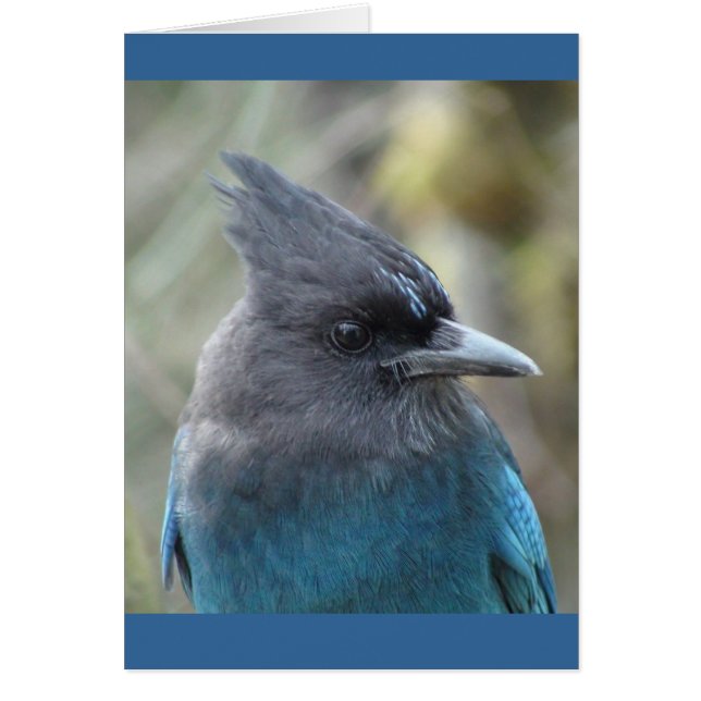 Mutter Blue (Vorne)