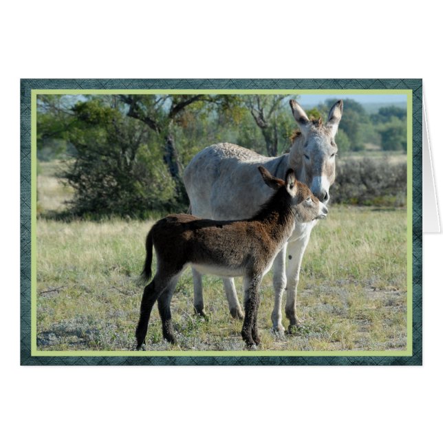 Mutter Burro und Baby (Vorderseite (Horizontal))