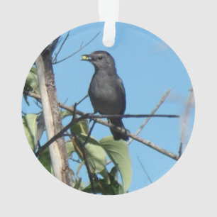 Mutter Catbird Gathers Berries zu ihrem Füttre Bab Ornament