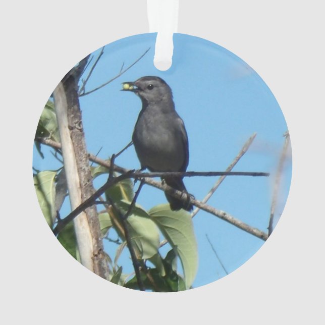 Mutter Catbird Gathers Berries zu ihrem Füttre Bab Ornament (Rückseite)