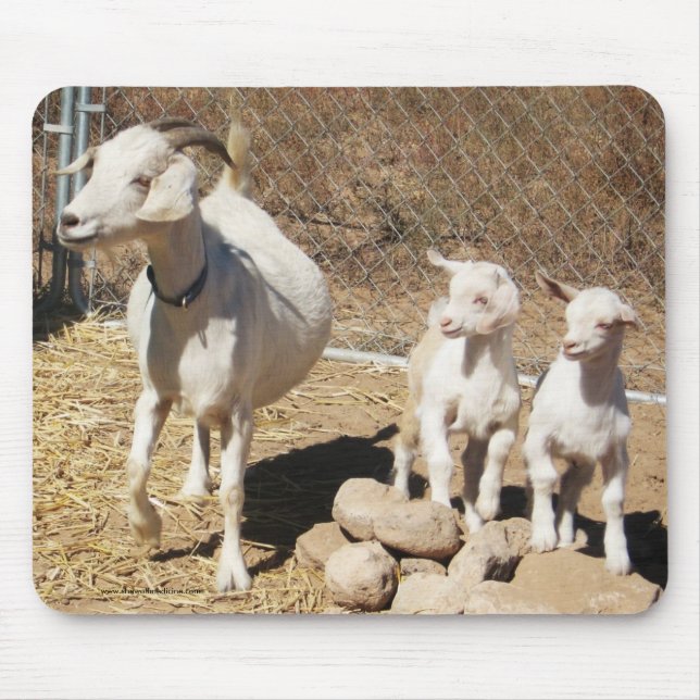 Mutter Doe und Kinder - Pygmäenziegen-Familie - Mousepad (Vorne)