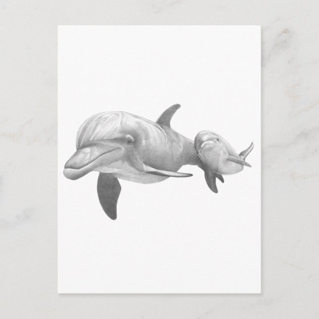 MUTTER DOLPHINS-LIEBE POSTKARTE (Vorderseite)