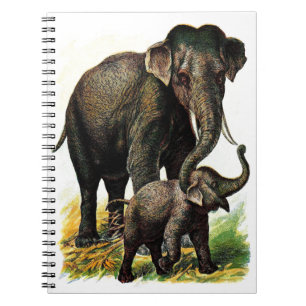 Mutter-Elefant mit Kalb Notizblock