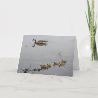 Mutter Gans-und der Gänschen-Mutter Tageskarte