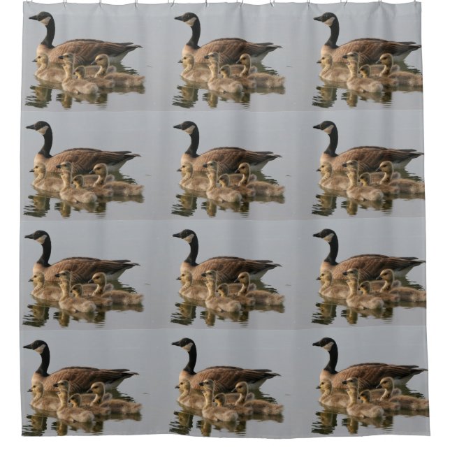 Mutter Gans und ihre Gänschen Duschvorhang (Vorderseite)