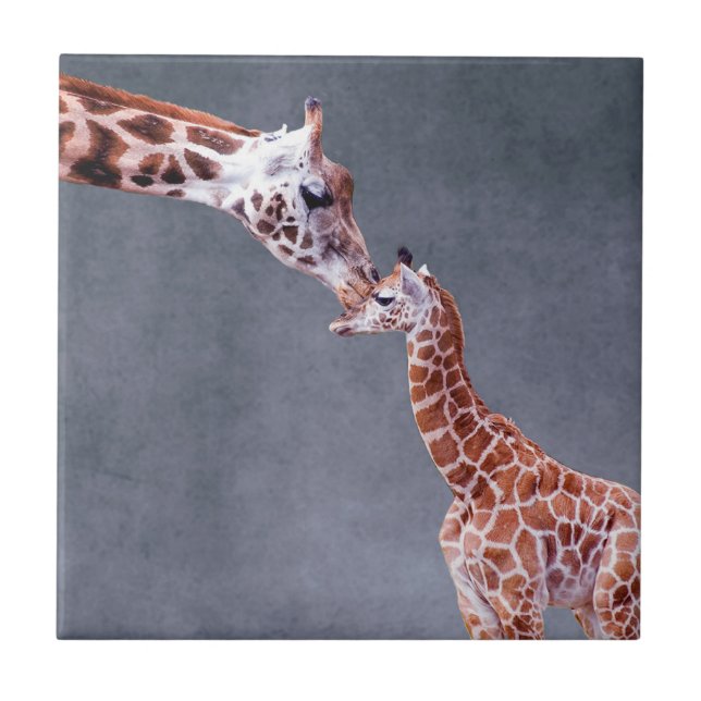 Mutter Getty Bild-| u. Baby-Giraffe Fliese (Vorderseite)