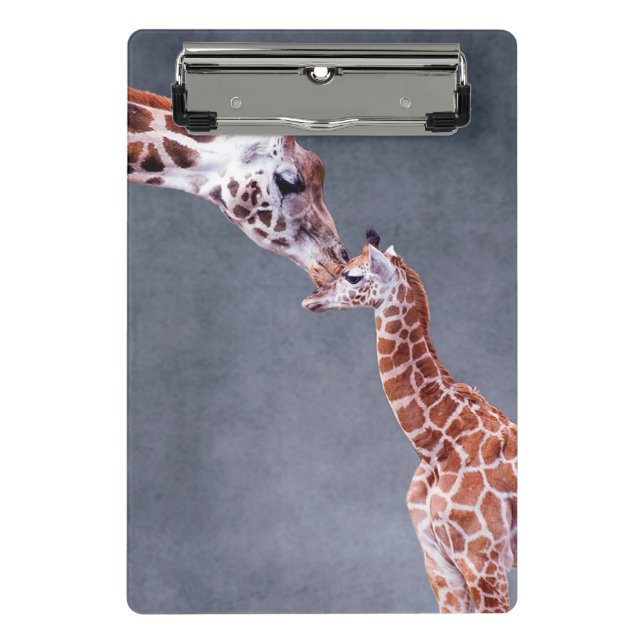 Mutter Getty Bild-| u. Baby-Giraffe Mini Klemmbrett (Vorderseite)