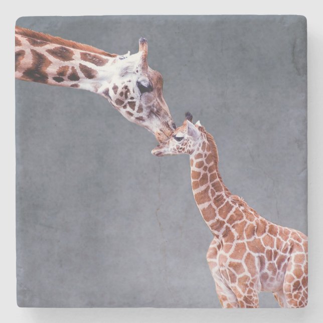 Mutter Getty Bild-| u. Baby-Giraffe Steinuntersetzer (Vorderseite)