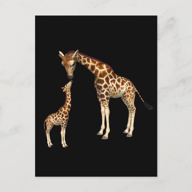 Mutter Giraffe und Baby Giraffe Postkarte (Vorderseite)