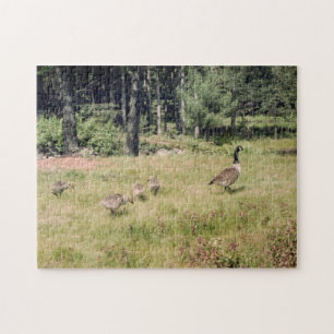 Mutter Goose Puzzle