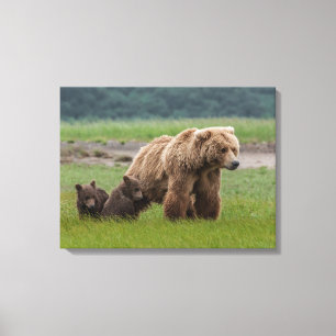 Mutter-Grizzlybärin mit Zwillingsjungen Leinwanddruck