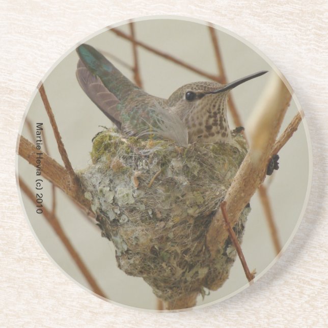 Mutter Hummingbird Untersetzer (Vorne)