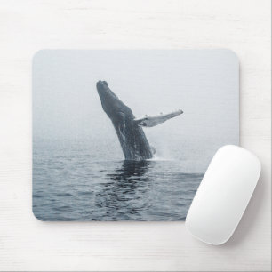 Mutter Humpback Whale Mousepad