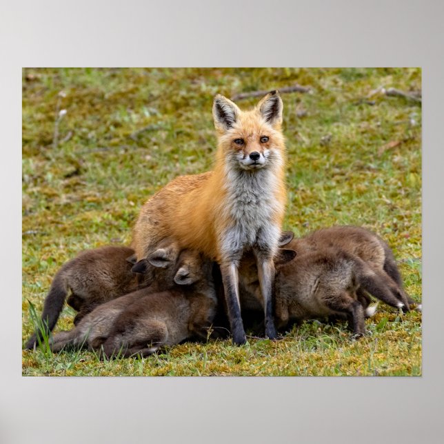 Mutter ist wie poster (Vorne)