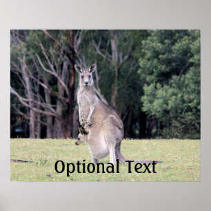 Mutter Kangaroo mit Baby Joey in ihrem Beutel Poster